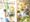 belize_101
