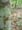 belize_154