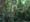 belize_155