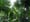 belize_164