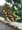 belize_178