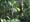 belize_204